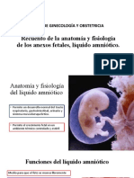 Recuento de la anatomía y fisiología de los anexos fetales