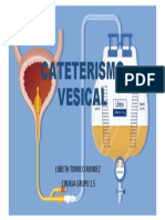 Cateterismo Vesical 1