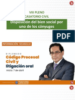 PDF gratis Pleno Casatorio