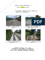 Informe de Gestión Ambiental Pavimento en Asfalto