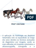 Radiologia Veterinaria - Prof. Cristiane