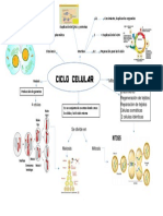 Mapa Mental Biologia 2.018