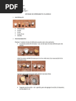 INFORME DE EXPERIMENTO CILINDROS