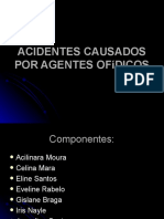 Acidentes Por Ofidicos