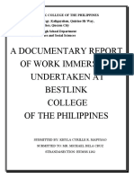A Documentary Report of Work Immersion Undertaken at Bestlink College of The Philippines