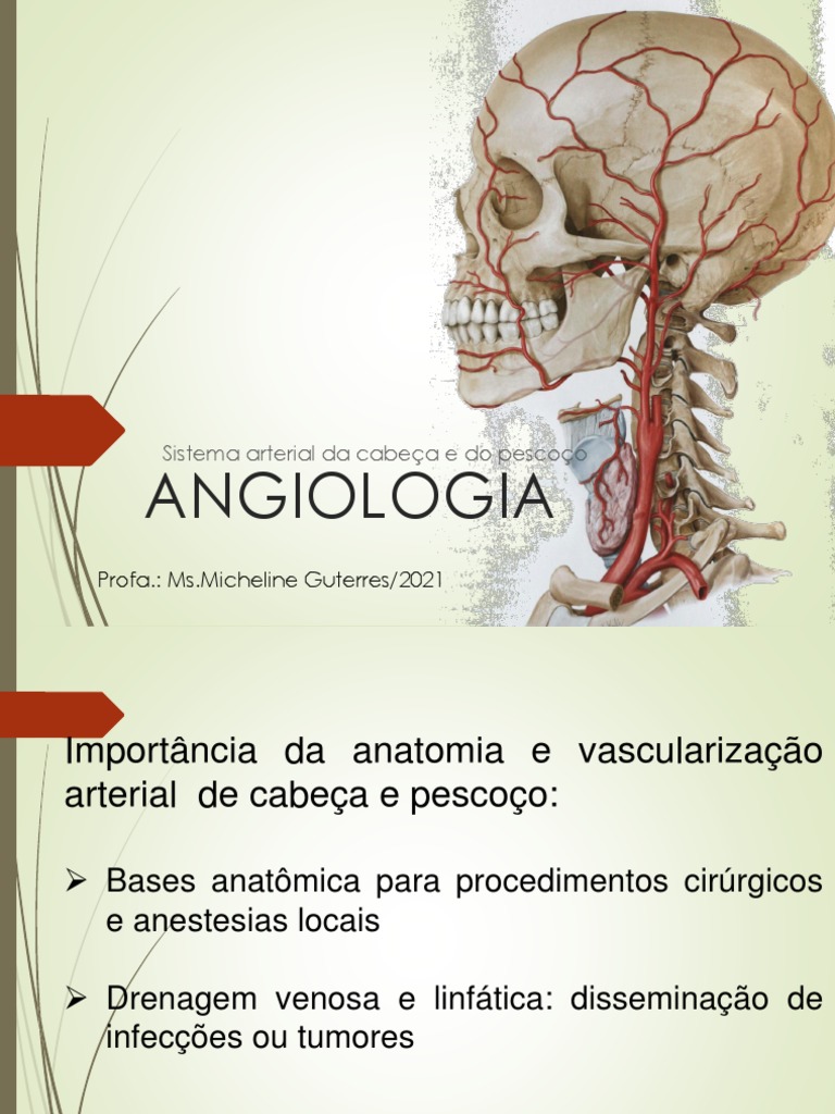 Angiologia Aula | PDF | Anatomia humana | Cabeça e pescoço humano