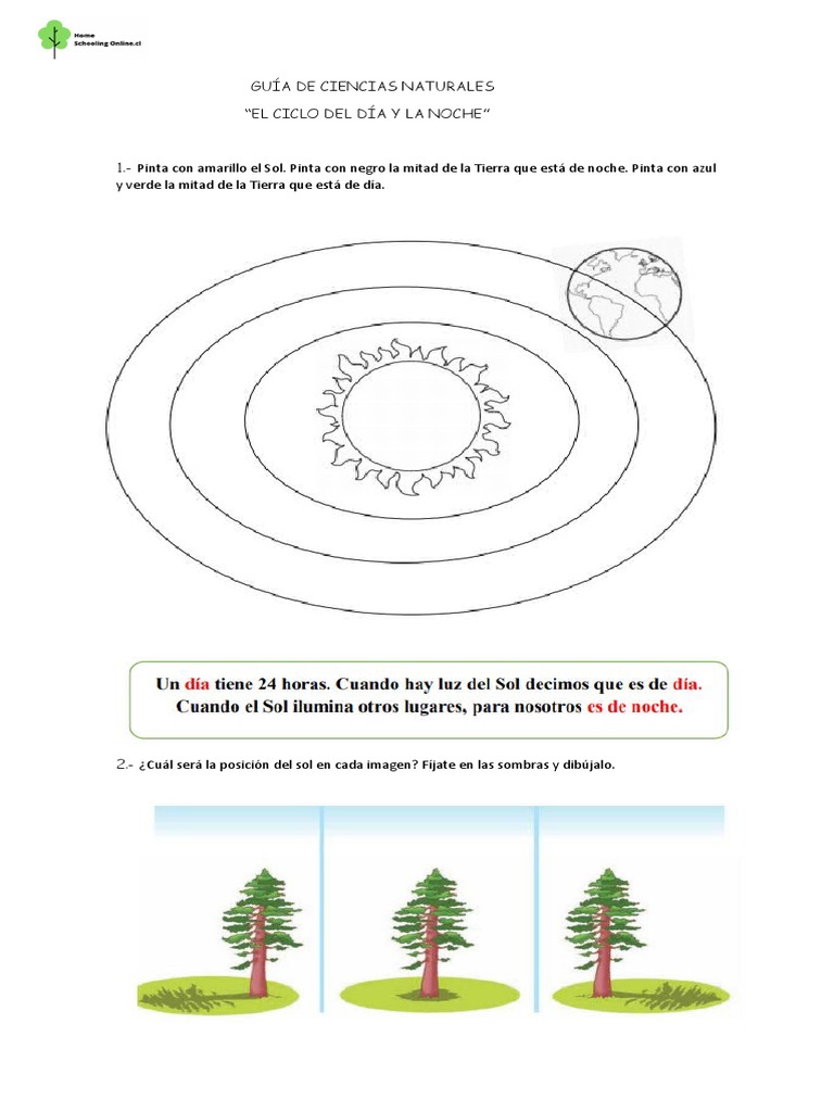 Guía De Ciencias Naturales El Ciclo Del Dia Y La Noche 1 Básico Pdf