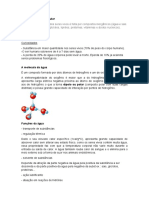 Bioquímica celular: água, sais minerais e carboidratos