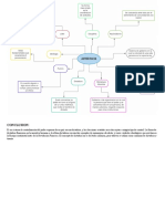 Organizadores Visuales - RNG