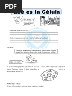 Tarea de La Celula