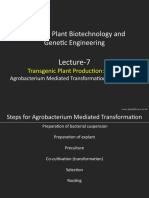 BTE-308 L7 Transgenic Plant Production Part II