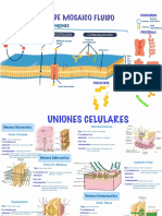 Infografías