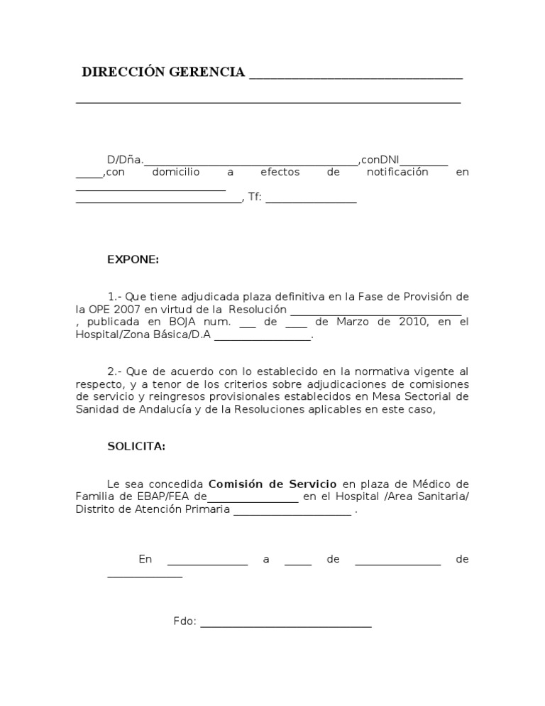 Modelo De Solicitud De Comision De Servicio