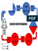 Science 9 - Circulatory System PDF