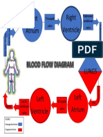 Science 9- Circulatory System-PDF