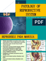 Xi. Patofisiologi Sistem Reproduksi