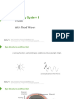 Sensory System I: Vision