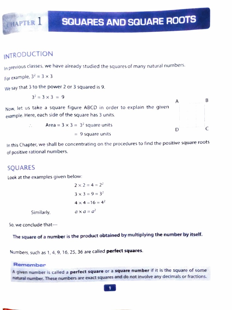 Squares and Square Roots Chapter Class Viii | PDF | Numbers | Factorization
