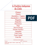 Mapa de Pueblos Indígenas de Chile