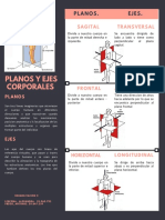 Planos Y Ejes Corporales