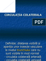 CIRCULATIA_COLATERALA