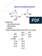 L20 21 Glycolysis