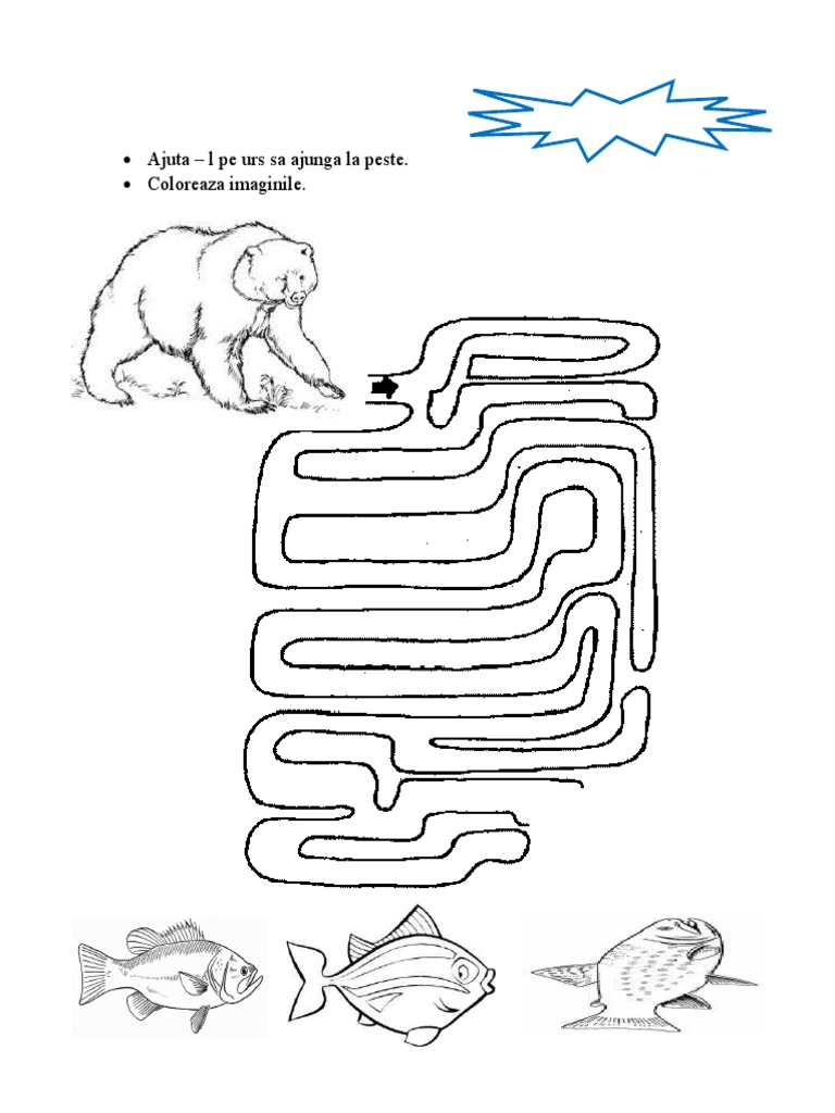 Labirint Urs | PDF