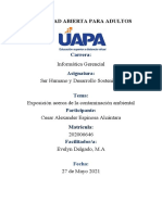 Exposición Acerca de La Contaminación Ambiental