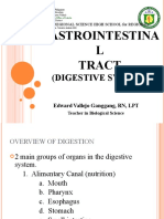 Gastrointestina L Tract: (Digestive System)