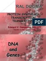 Protein Synthesis II