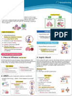 Respiratory Pneumonia Pathophysiology