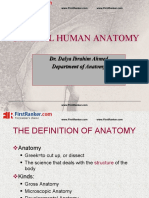 General Human Anatomy: Dr. Dalya Ibrahim Ahmed Department of Anatomy