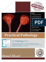 PATH - Practical Pathology