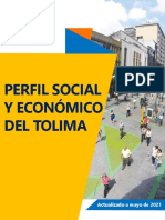 Perfil-socioeconomico-del-Tolima Mayo2021