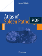 Atlas of Spleen Pathology and Histhology Complet