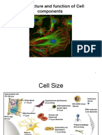 The Structure and Function of Cell Components