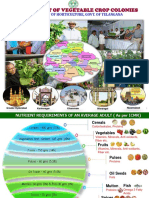 Development of Vegetable Crop Colonies: Department of Horticulture, Govt. of Telangana