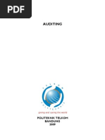 Download Auditing by mnaila SN52671169 doc pdf