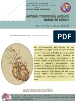 Anatomia_y_Fisiologia_Cardio