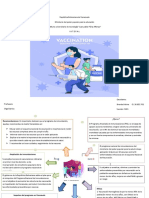 Mapa Conceptual Del Programa Ampliado de Inmunizacion VNZ