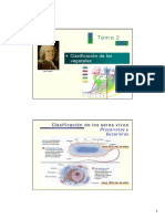 2 - Clasificación de Los Vegetales