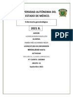 Mapa Mental y Cuadro Comparativo. Teorias Del Envejeimiento, Mitos y Esterotipos