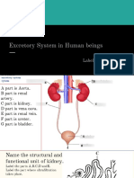 ANADI AGARWAL - Class10_Ch.6_Activity_Label the diagrams