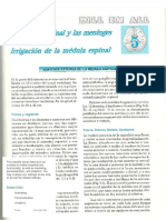PDF Capitulo 5 La Medula Espinal y Las Meninges Medulares Irrigacion de La Medula Espinal - Compress
