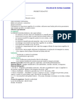 Proiect Didactic Reguli de Circulatie Serban