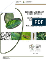 Ficha T Cnica Clorosis Variegada de Los C Tricos