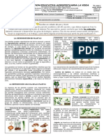 Grado 9 Guía 6 Biología