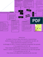 Anatomia Comparada Previo