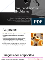 Adipócitos, Condrócitos e Fibroblasto 1