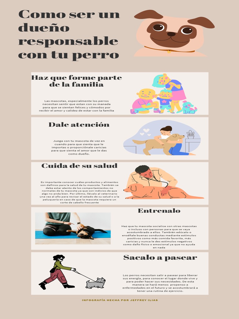 Como Ser Un Dueño Responsable Con Tu Perro | PDF | Mascota | La ...